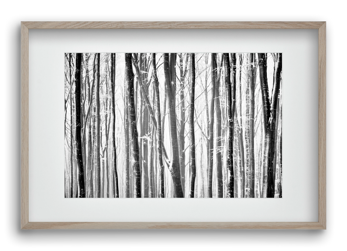 VERTICAL, 60x40 cm (45x30 cm), Tölgy keret, paszpartuval