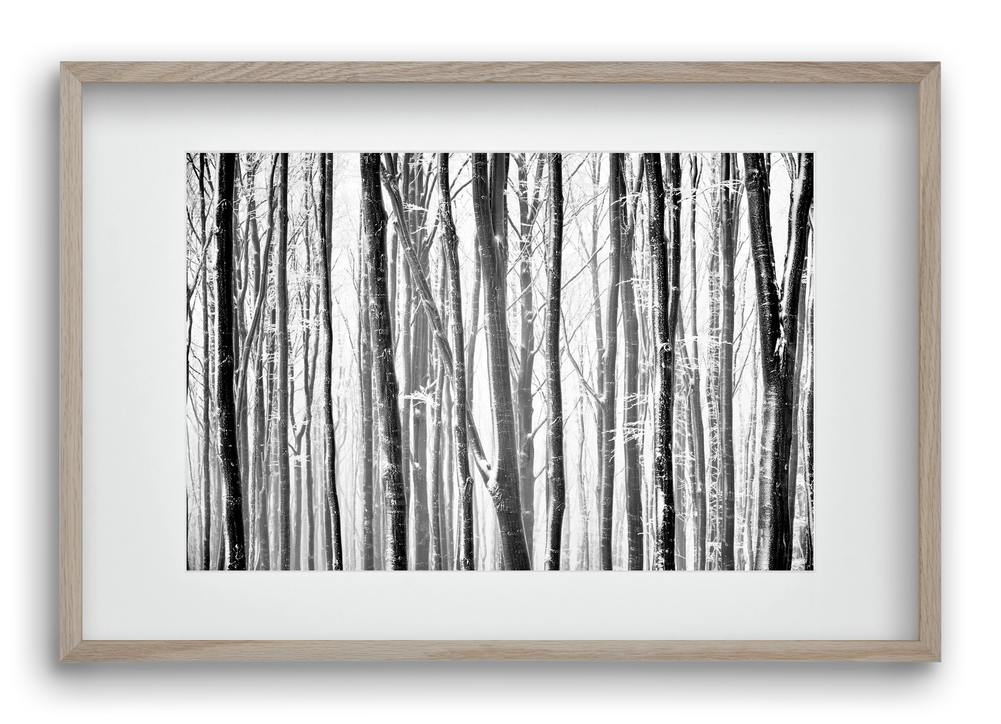 VERTICAL, 60x40 cm (45x30 cm), Tölgy keret, paszpartuval