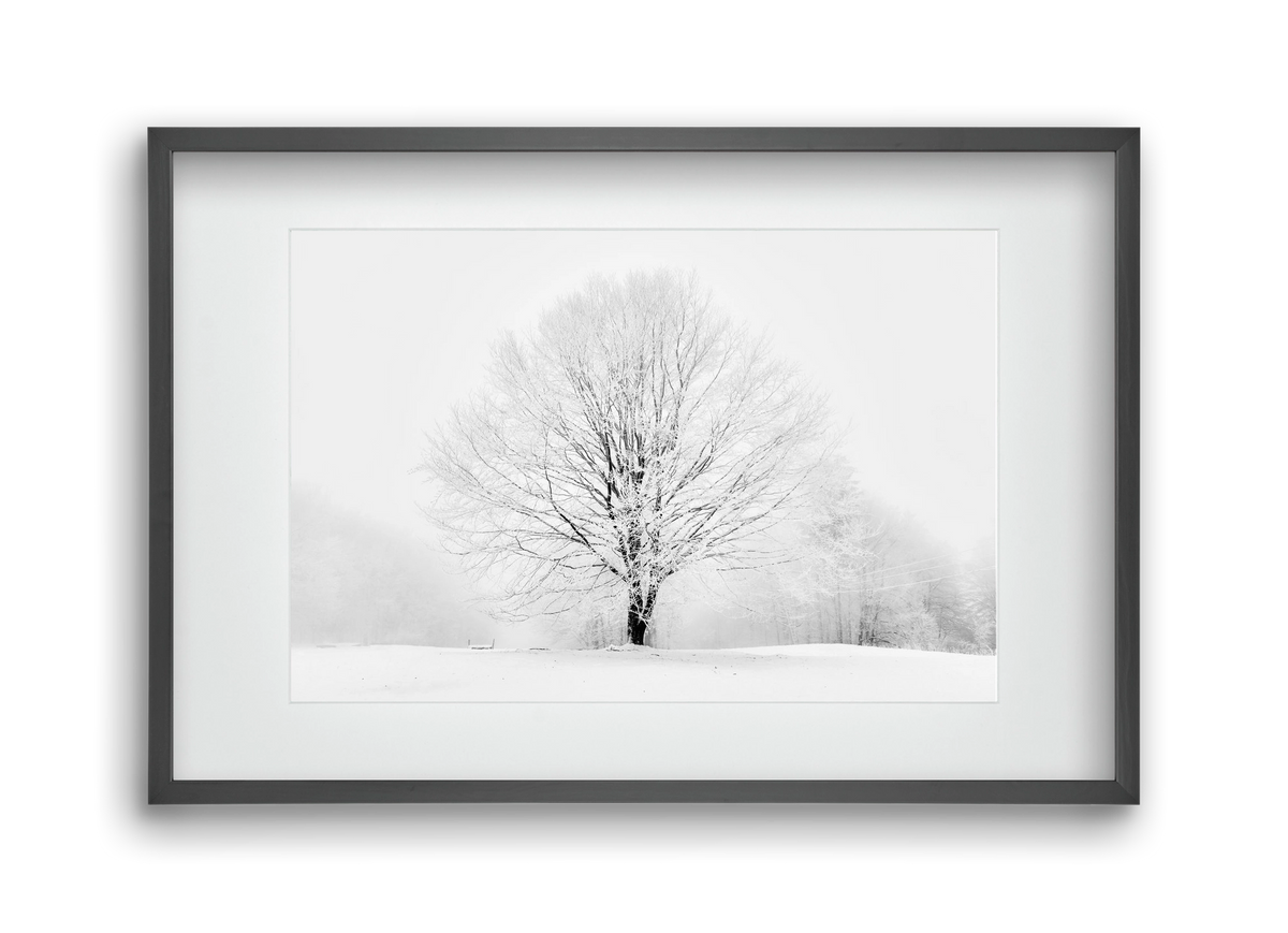 CONTRAST, 45x30 cm (30x20 cm), Fekete keret, paszpartuval