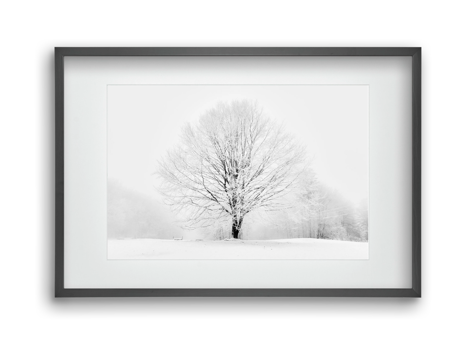 CONTRAST, 45x30 cm (30x20 cm), Fekete keret, paszpartuval