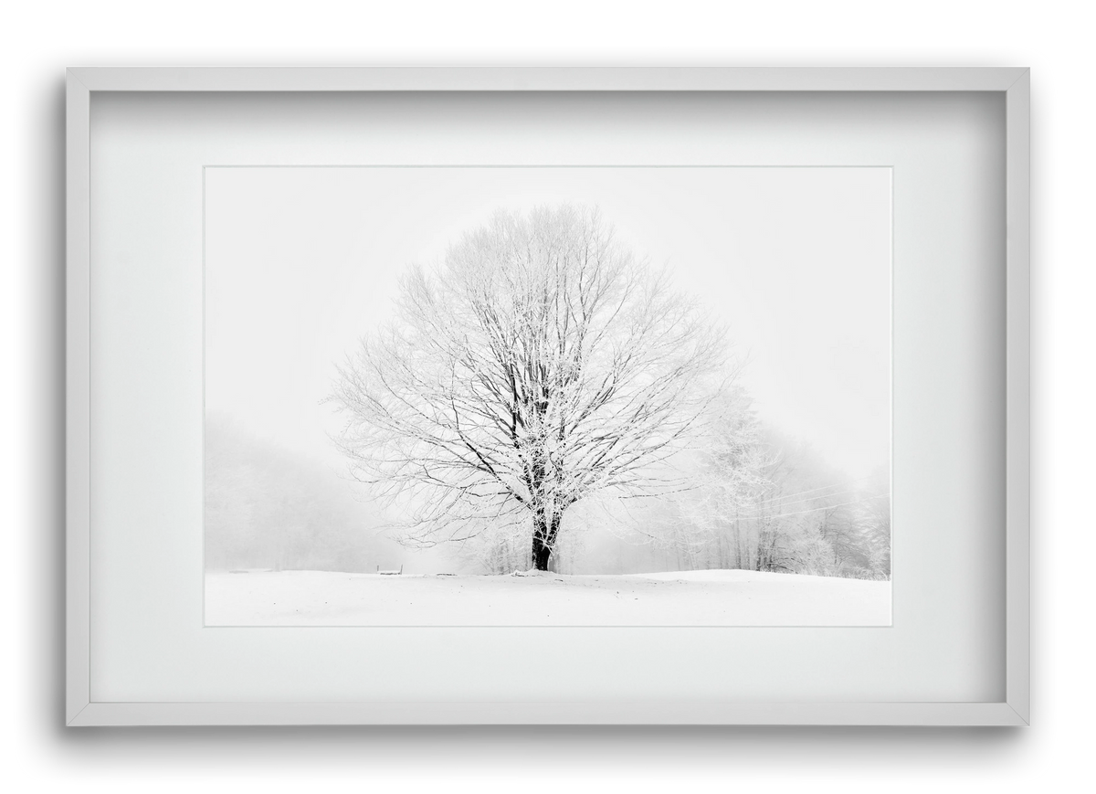 CONTRAST, 60x40 cm (45x30 cm), Fehér keret, paszpartuval