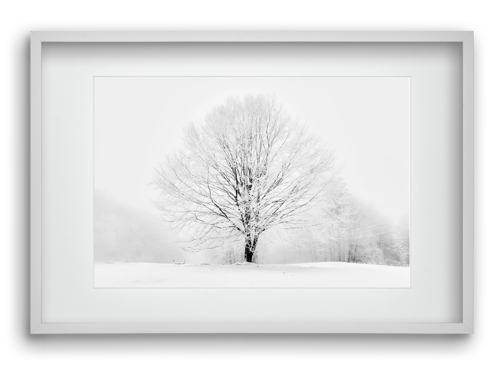 CONTRAST, 60x40 cm (45x30 cm), Fehér keret, paszpartuval