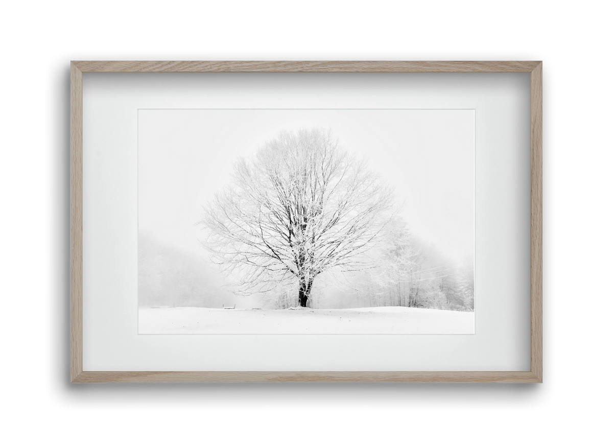 CONTRAST, 45x30 cm (30x20 cm), Tölgy keret, paszpartuval