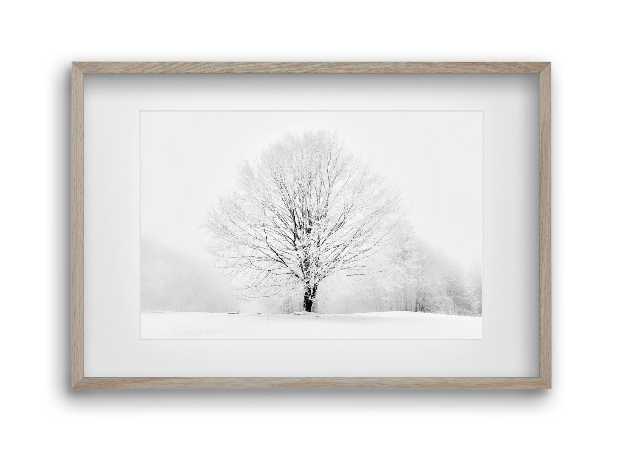 CONTRAST, 45x30 cm (30x20 cm), Tölgy keret, paszpartuval