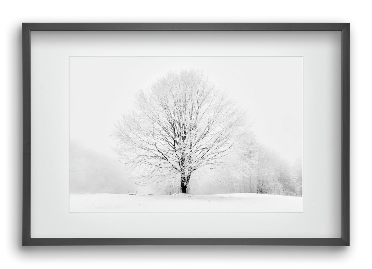 CONTRAST, 60x40 cm (45x30 cm), Fekete keret, paszpartuval