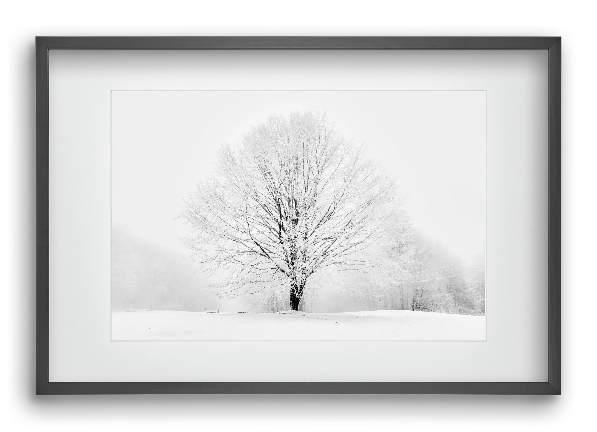 CONTRAST, 60x40 cm (45x30 cm), Fekete keret, paszpartuval