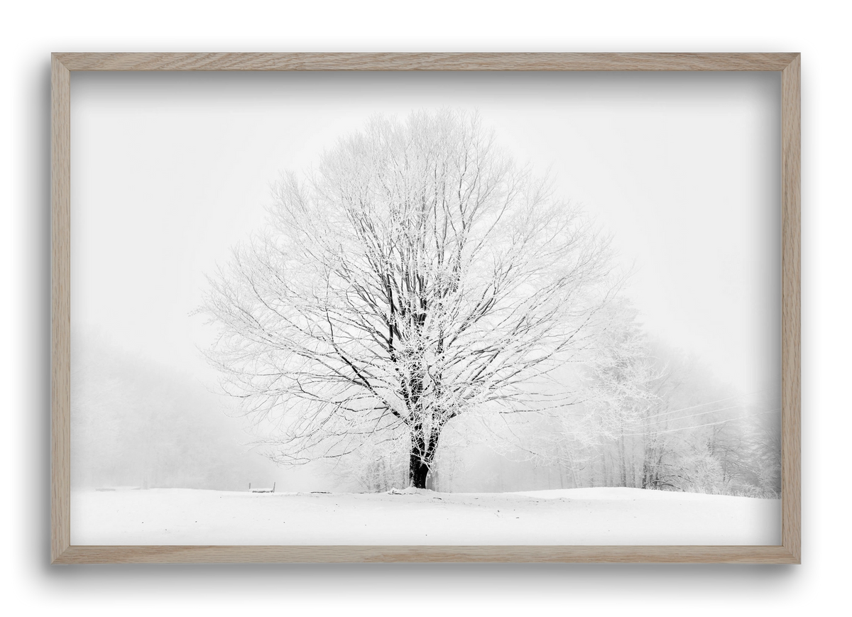 CONTRAST, 60x40 cm (60x40 cm), Tölgy keret