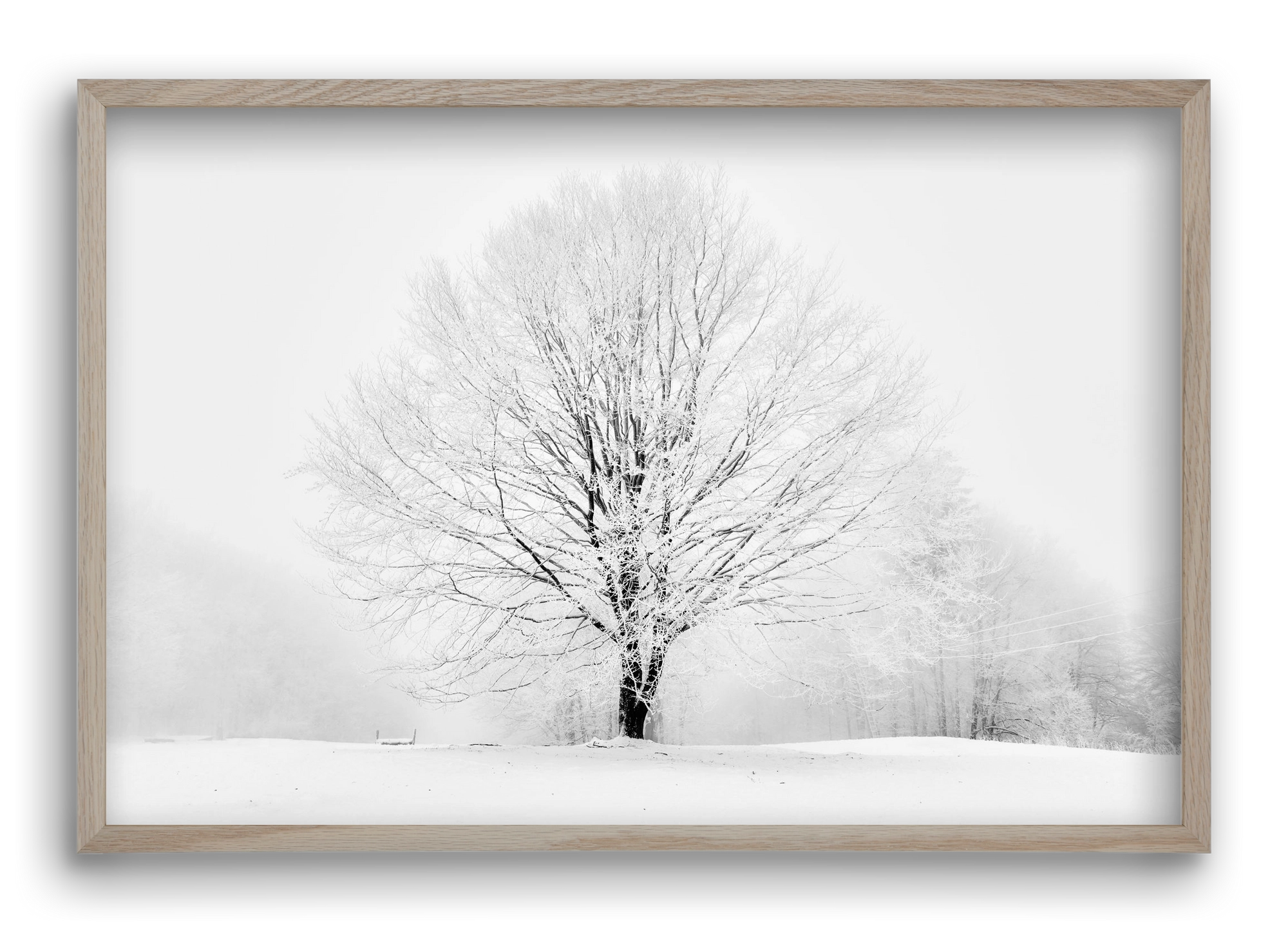 CONTRAST, 60x40 cm (60x40 cm), Tölgy keret