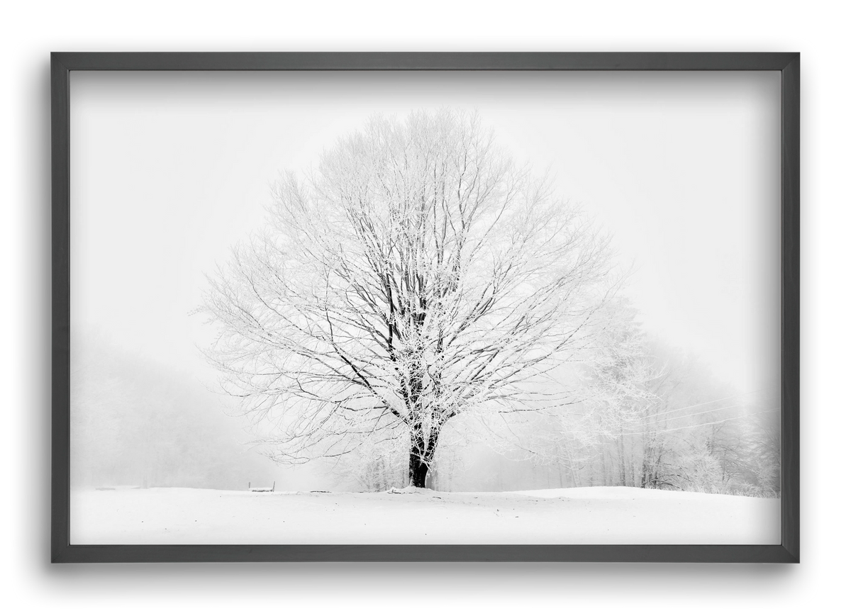 CONTRAST, 60x40 cm (60x40 cm), Fekete keret