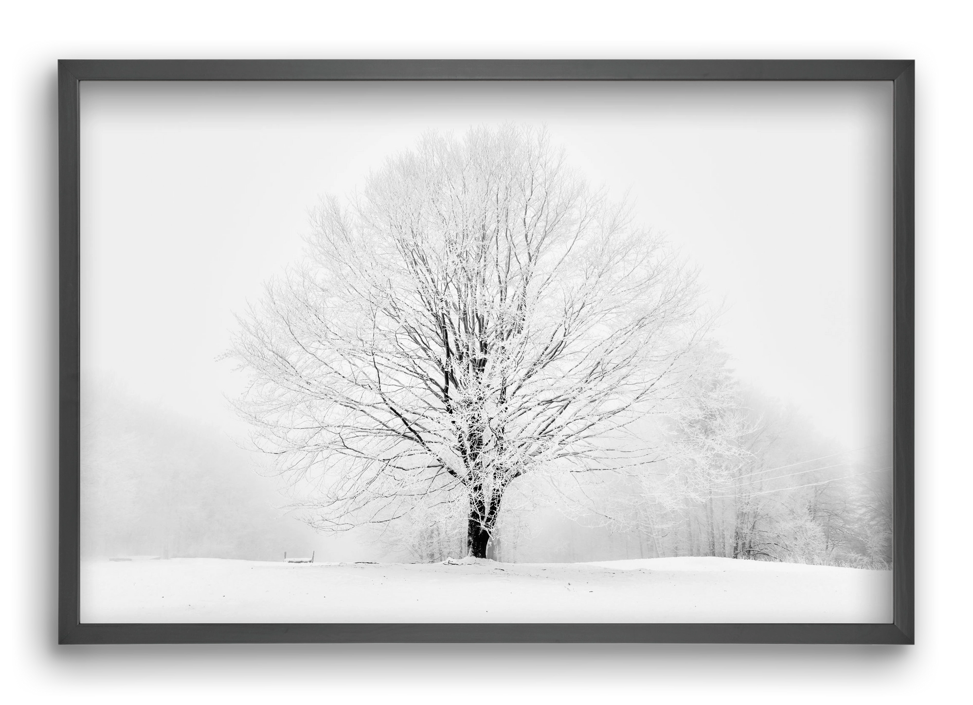 CONTRAST, 60x40 cm (60x40 cm), Fekete keret