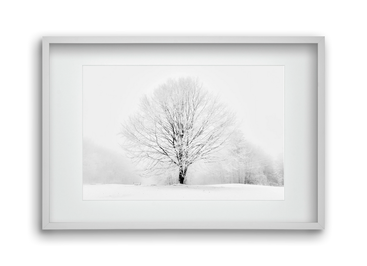 CONTRAST, 45x30 cm (30x20 cm), Fehér keret, paszpartuval