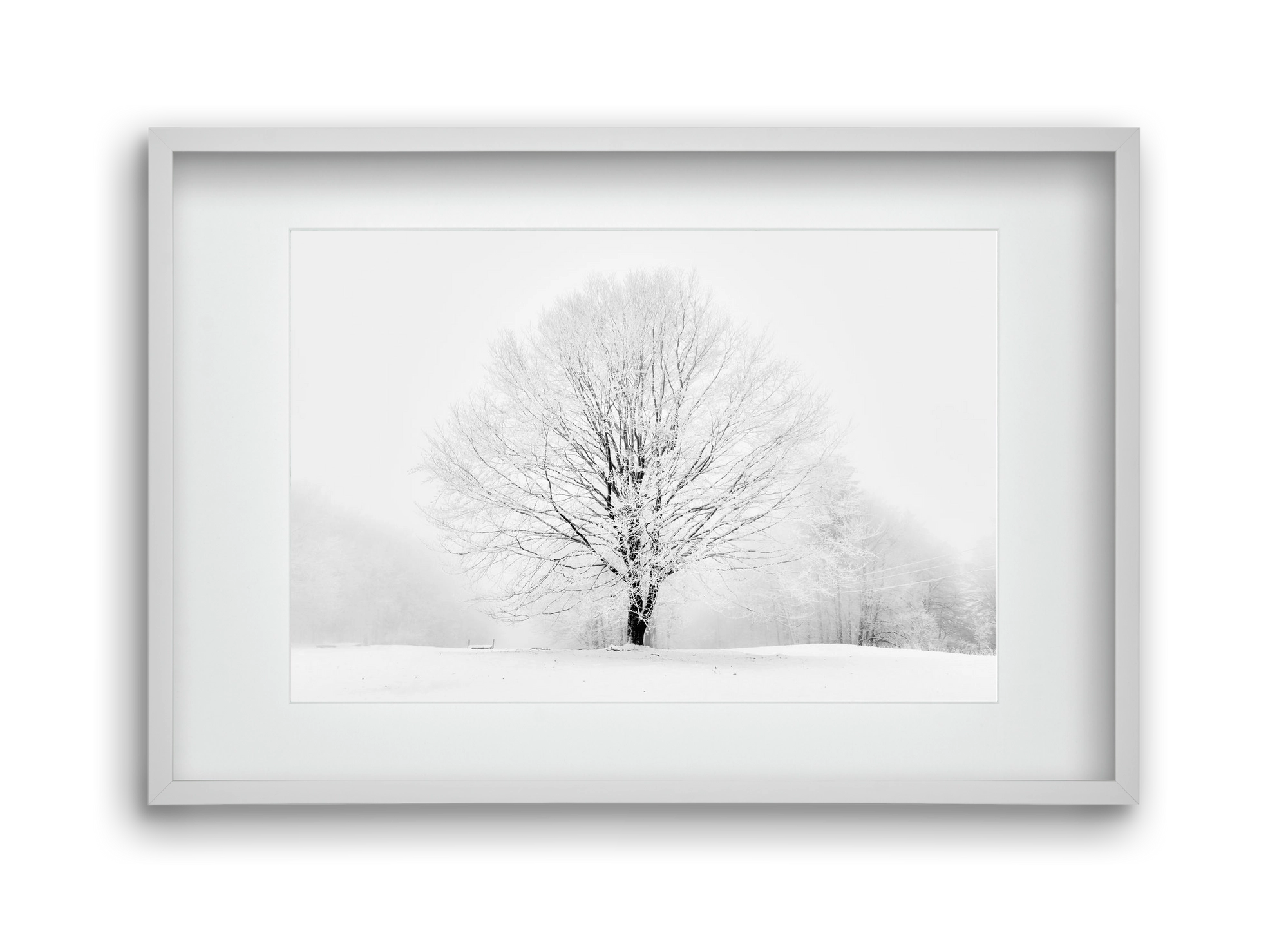 CONTRAST, 45x30 cm (30x20 cm), Fehér keret, paszpartuval