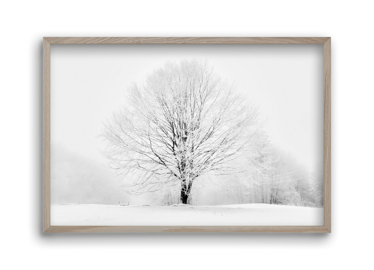 CONTRAST, 45x30 cm (45x30 cm), Tölgy keret