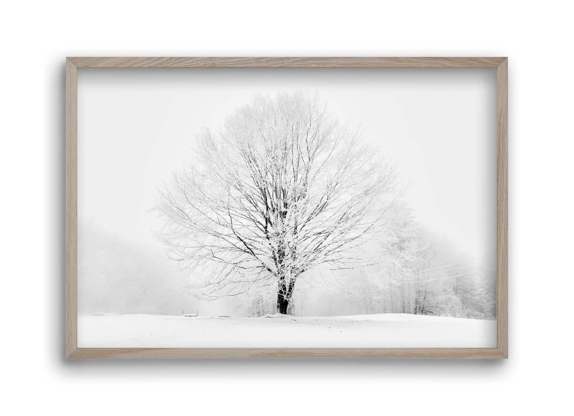 CONTRAST, 45x30 cm (45x30 cm), Tölgy keret