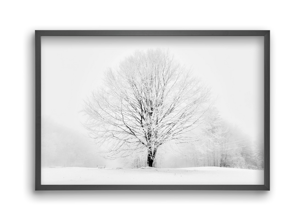 CONTRAST, 45x30 cm (45x30 cm), Fekete keret