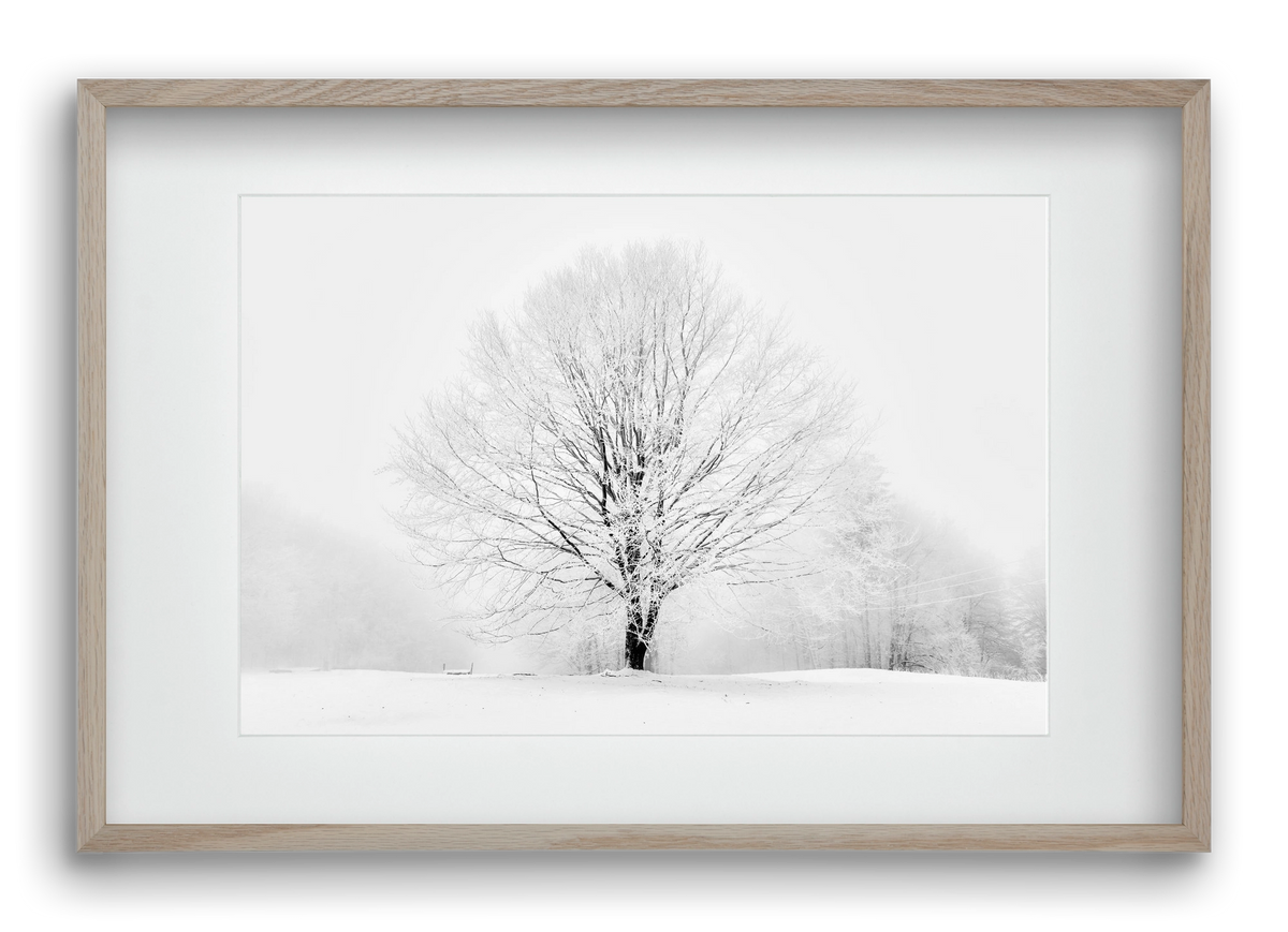 CONTRAST, 60x40 cm (45x30 cm), Tölgy keret, paszpartuval