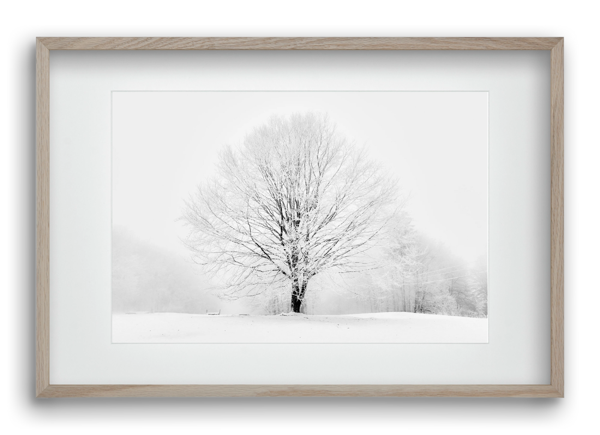 CONTRAST, 60x40 cm (45x30 cm), Tölgy keret, paszpartuval