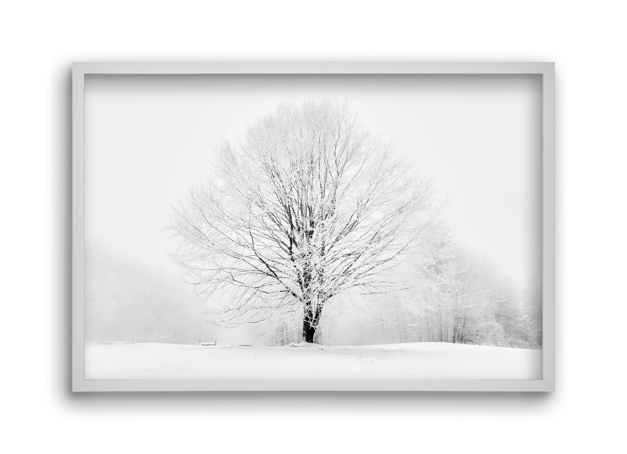 CONTRAST, 45x30 cm (45x30 cm), Fehér keret