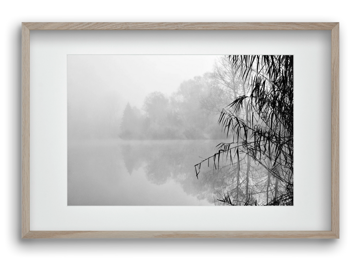 Incognito dual , 60x40 cm (45x30 cm), Tölgy keret, paszpartuval