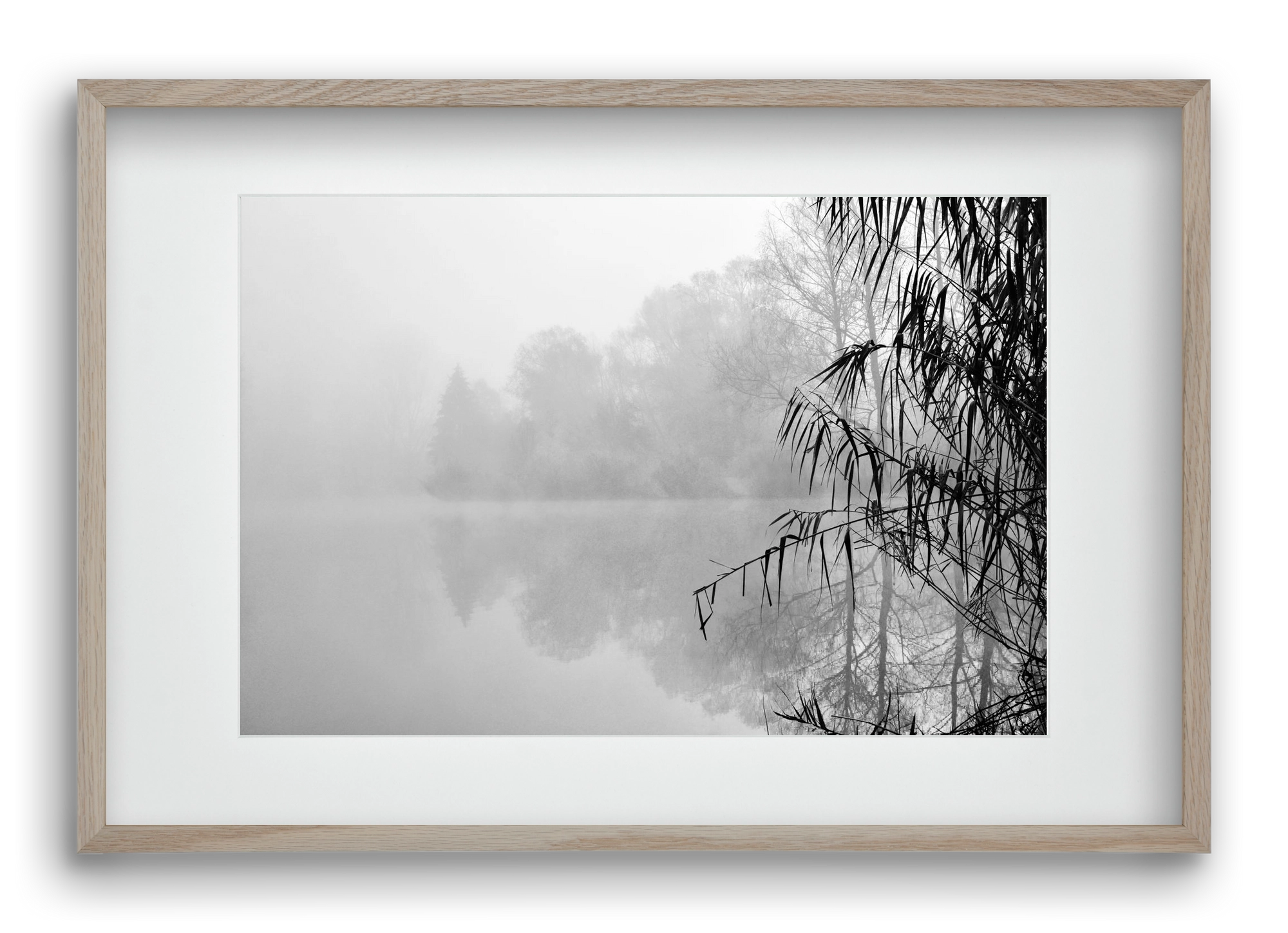 Incognito dual , 60x40 cm (45x30 cm), Tölgy keret, paszpartuval