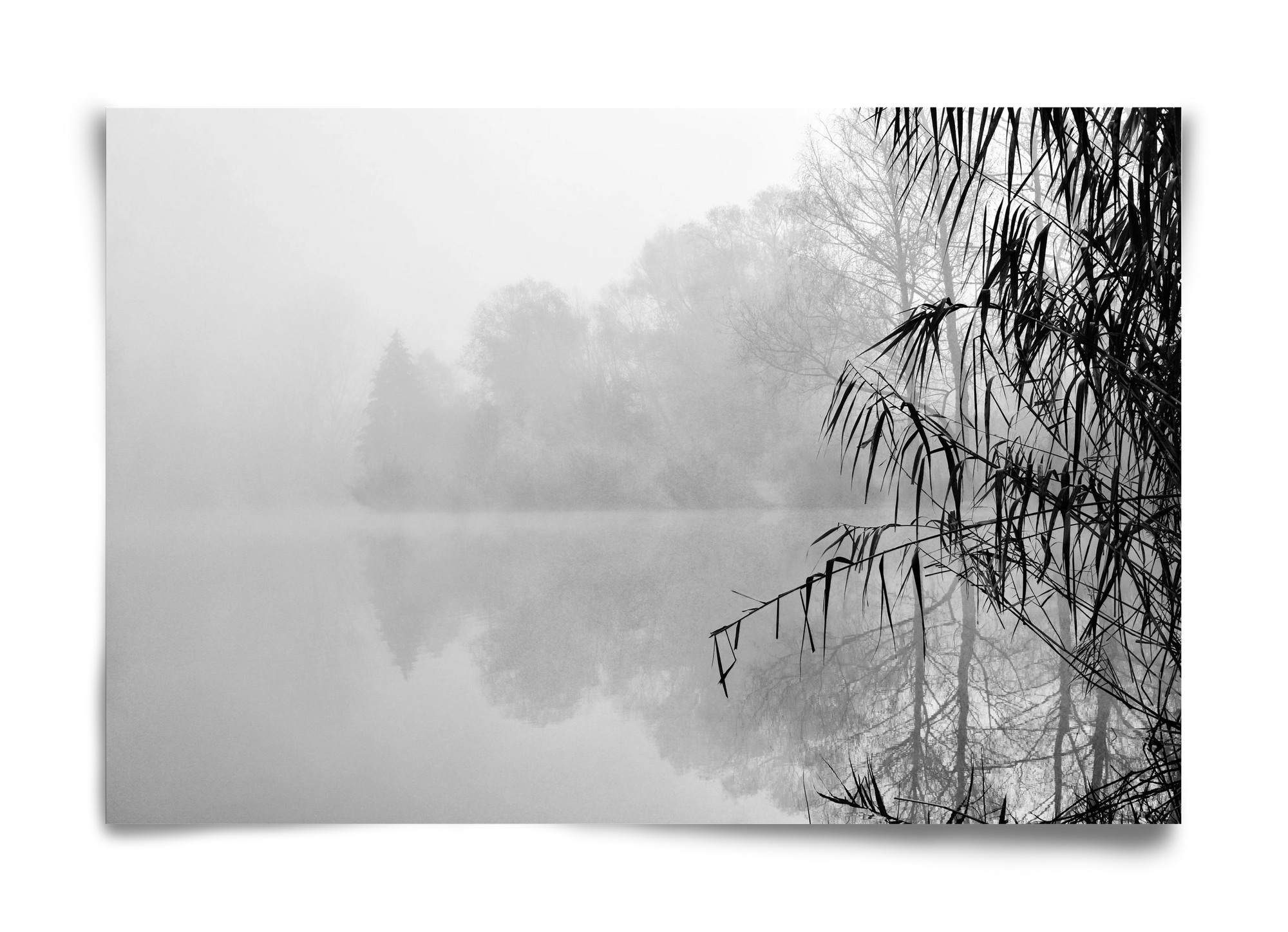 Incognito dual , 60x40 cm, Keret nélkül