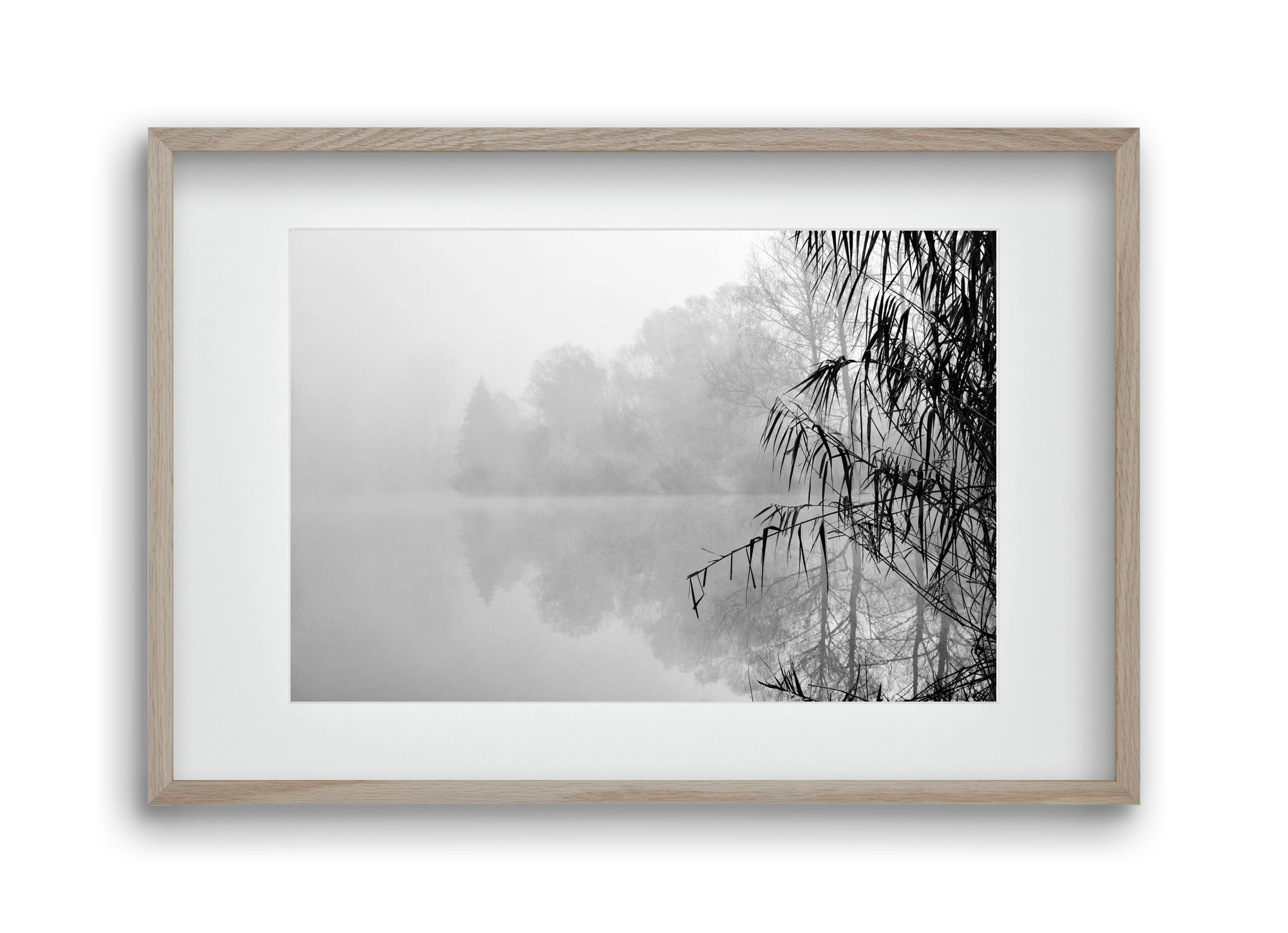 Incognito dual , 45x30 cm (30x20 cm), Tölgy keret, paszpartuval