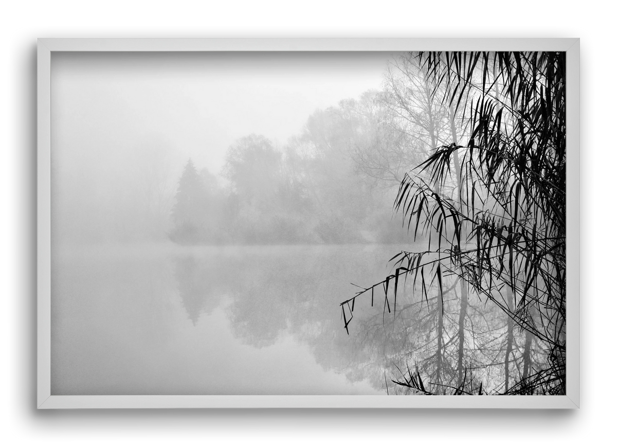 Incognito dual , 60x40 cm (60x40 cm), Fehér keret