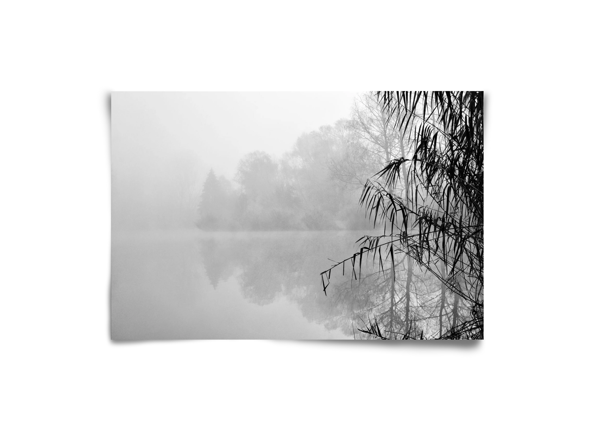 Incognito dual , 30x20 cm, Keret nélkül