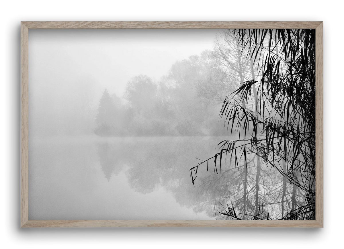 Incognito dual , 60x40 cm (60x40 cm), Tölgy keret