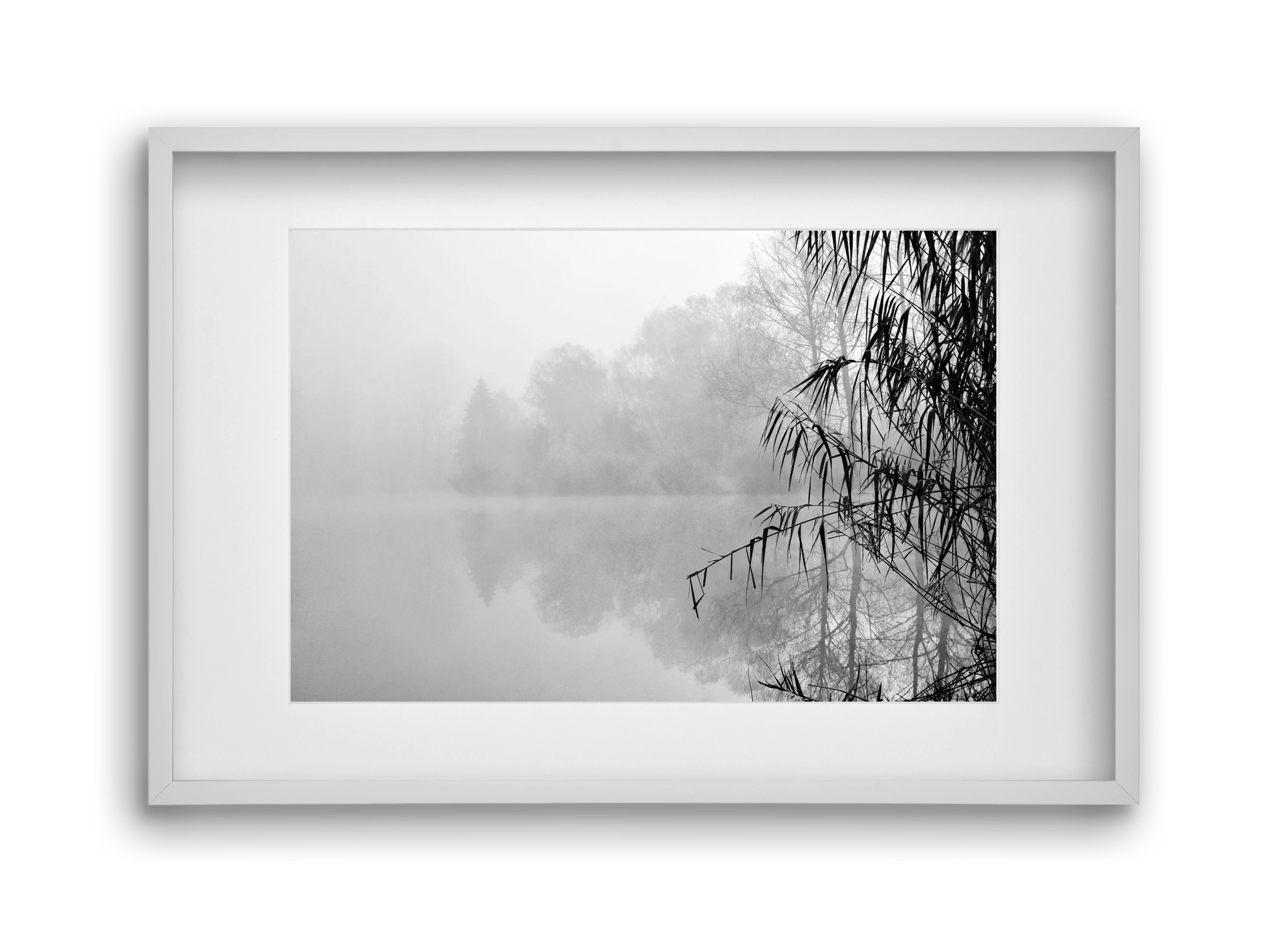 Incognito dual , 45x30 cm (30x20 cm), Fehér keret, paszpartuval