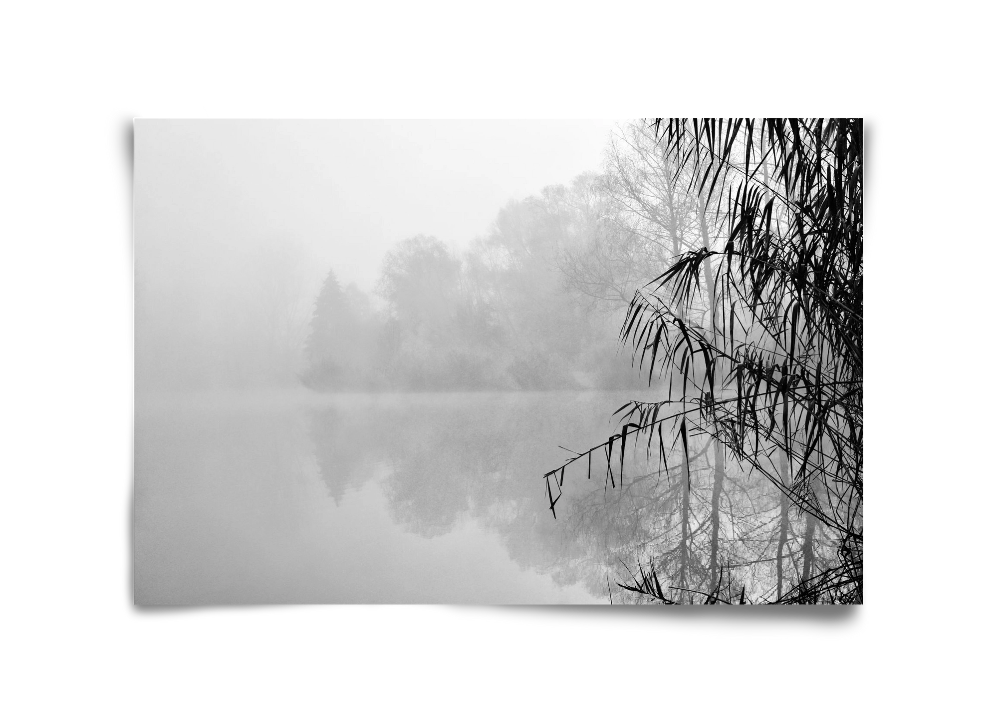 Incognito dual , 45x30 cm, Keret nélkül