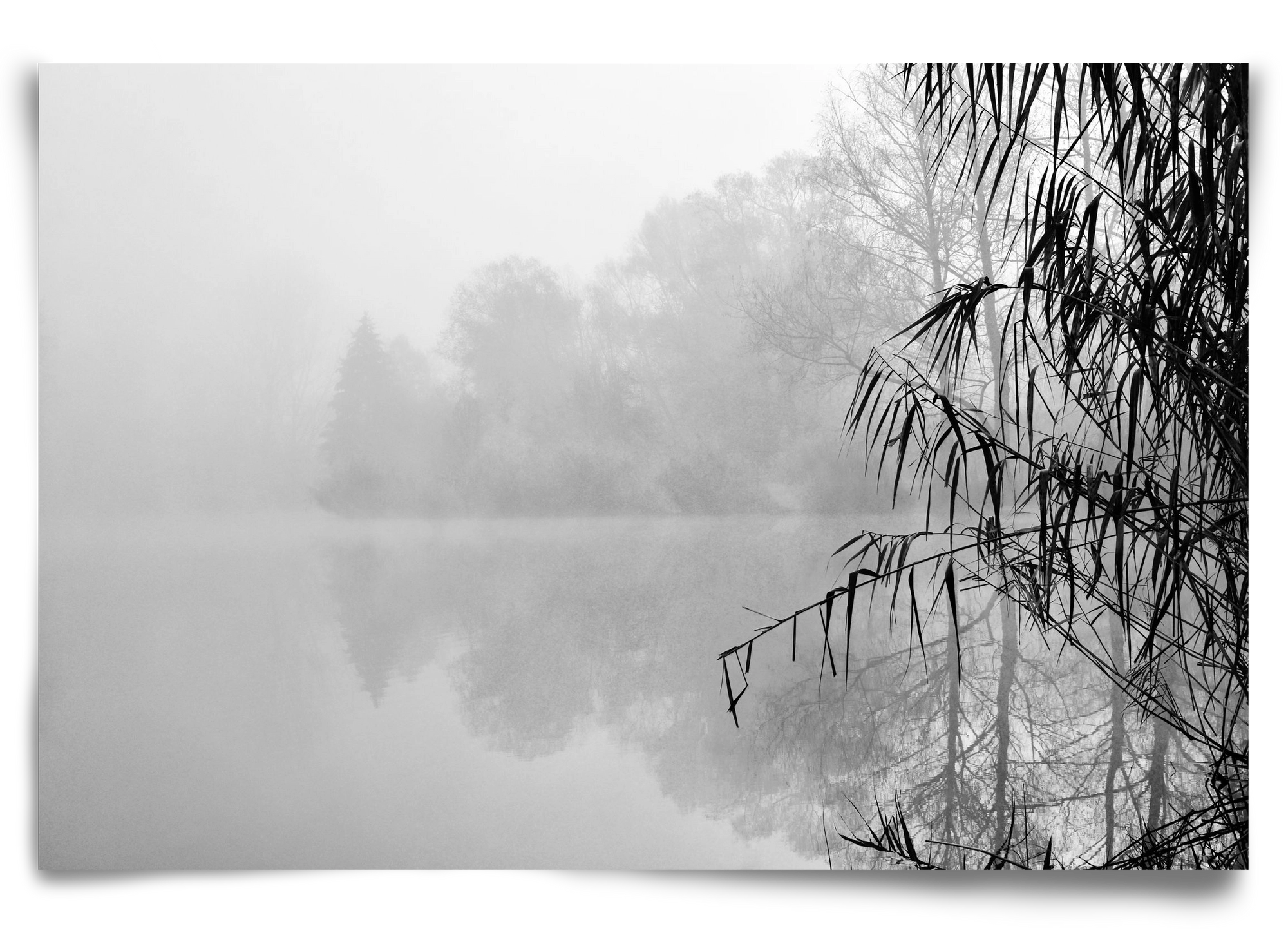 Incognito dual , 90x60 cm, Keret nélkül