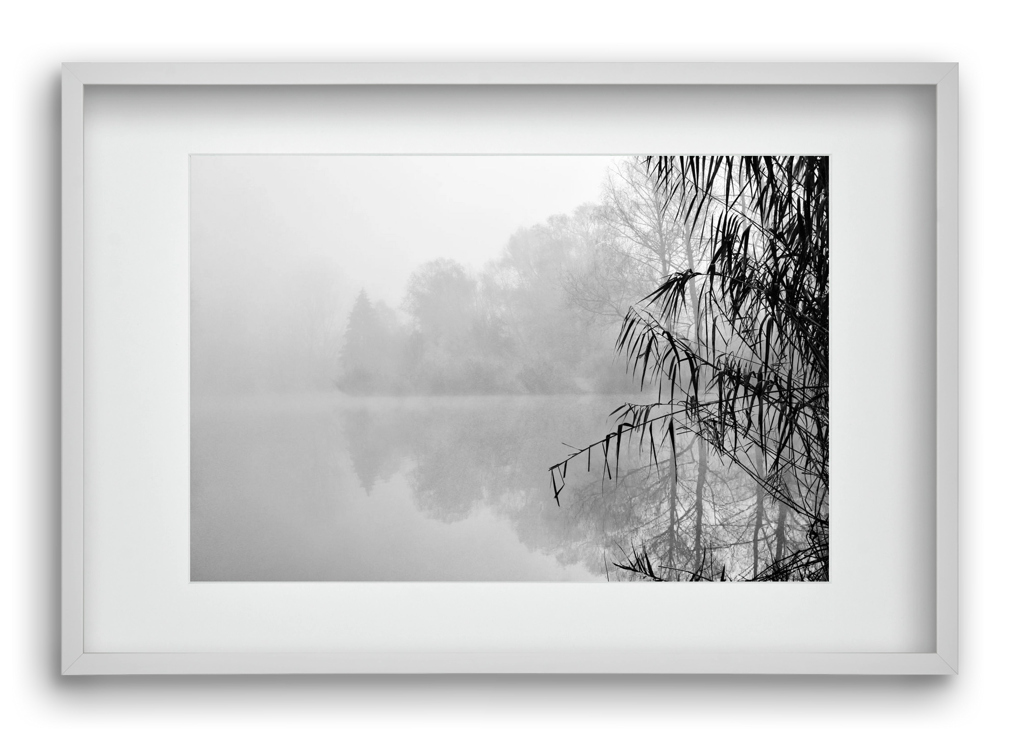 Incognito dual , 60x40 cm (45x30 cm), Fehér keret, paszpartuval