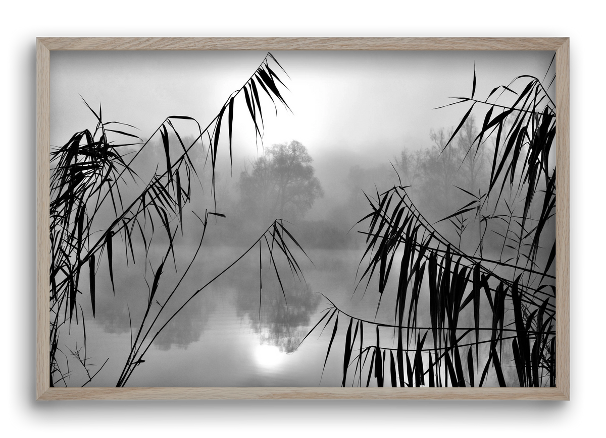 Cloud-land, 60x40 cm (60x40 cm), Tölgy keret