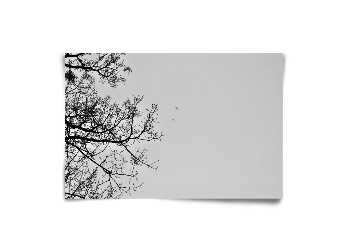 Living balance, 30x20 cm, Keret nélkül