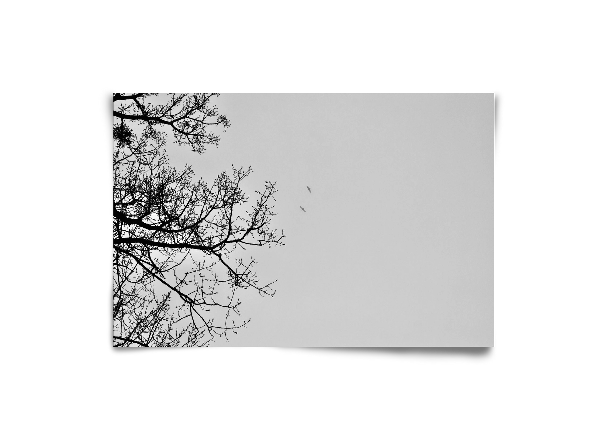 Living balance, 30x20 cm, Keret nélkül