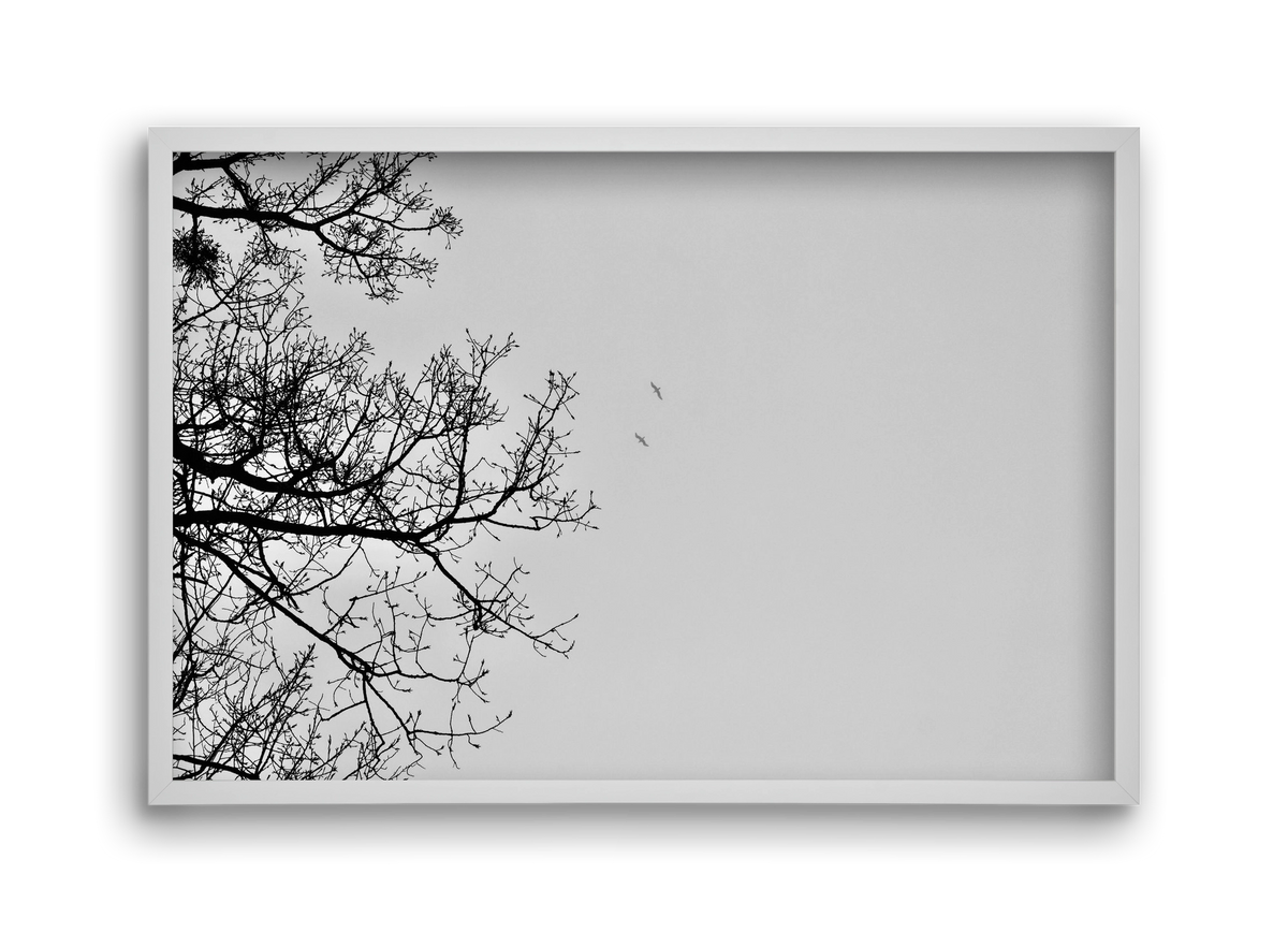 Living balance, 45x30 cm (45x30 cm), Fehér keret