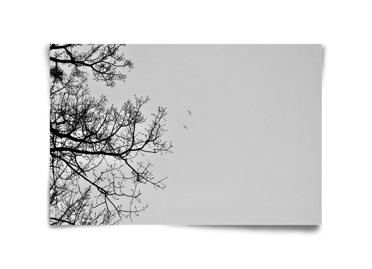 Living balance, 45x30 cm, Keret nélkül