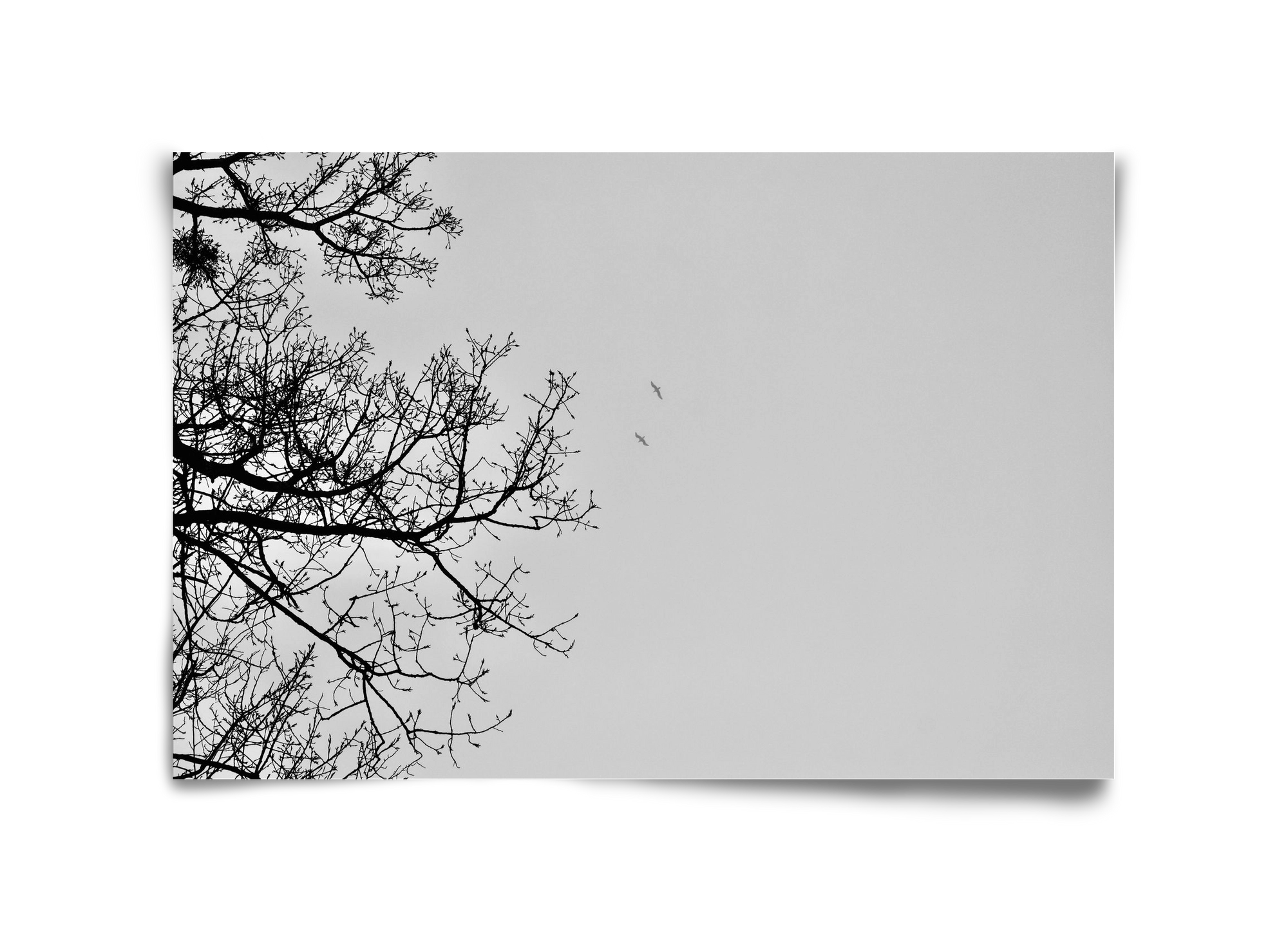 Living balance, 45x30 cm, Keret nélkül