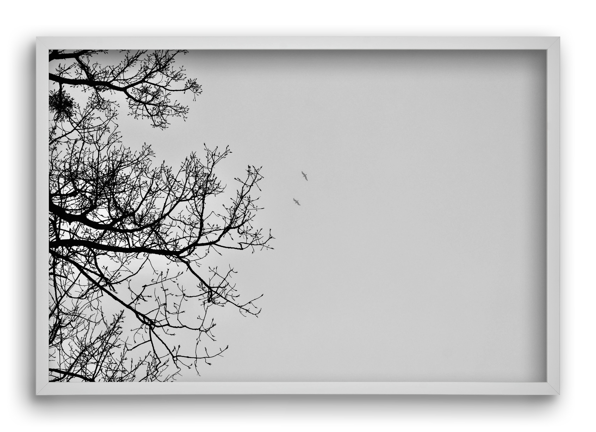 Living balance, 60x40 cm (60x40 cm), Fehér keret