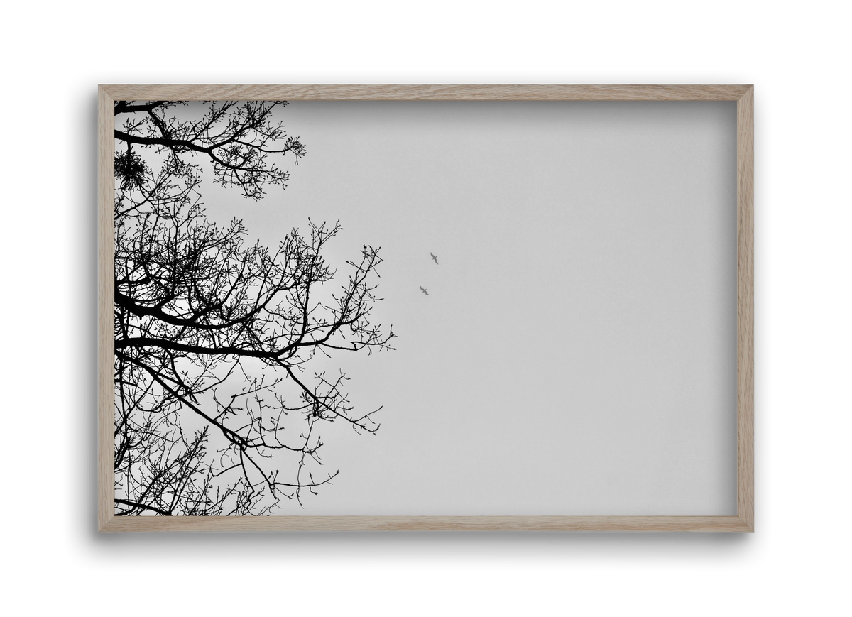 Living balance, 45x30 cm (45x30 cm), Tölgy keret