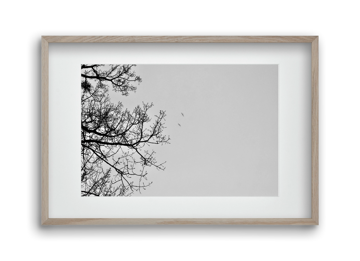 Living balance, 45x30 cm (30x20 cm), Tölgy keret, paszpartuval