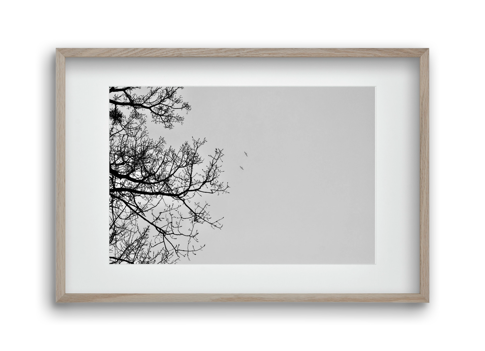 Living balance, 45x30 cm (30x20 cm), Tölgy keret, paszpartuval