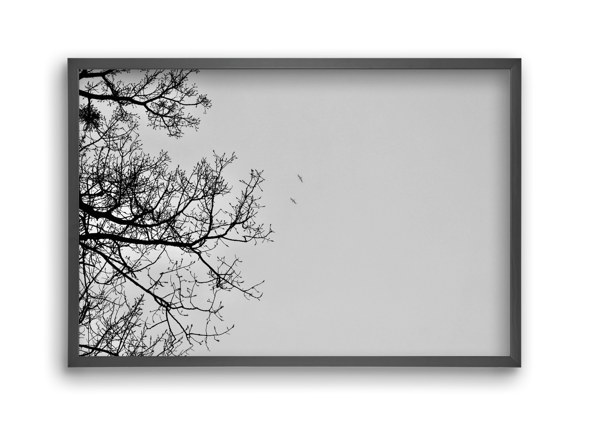 Living balance, 45x30 cm (45x30 cm), Fekete keret