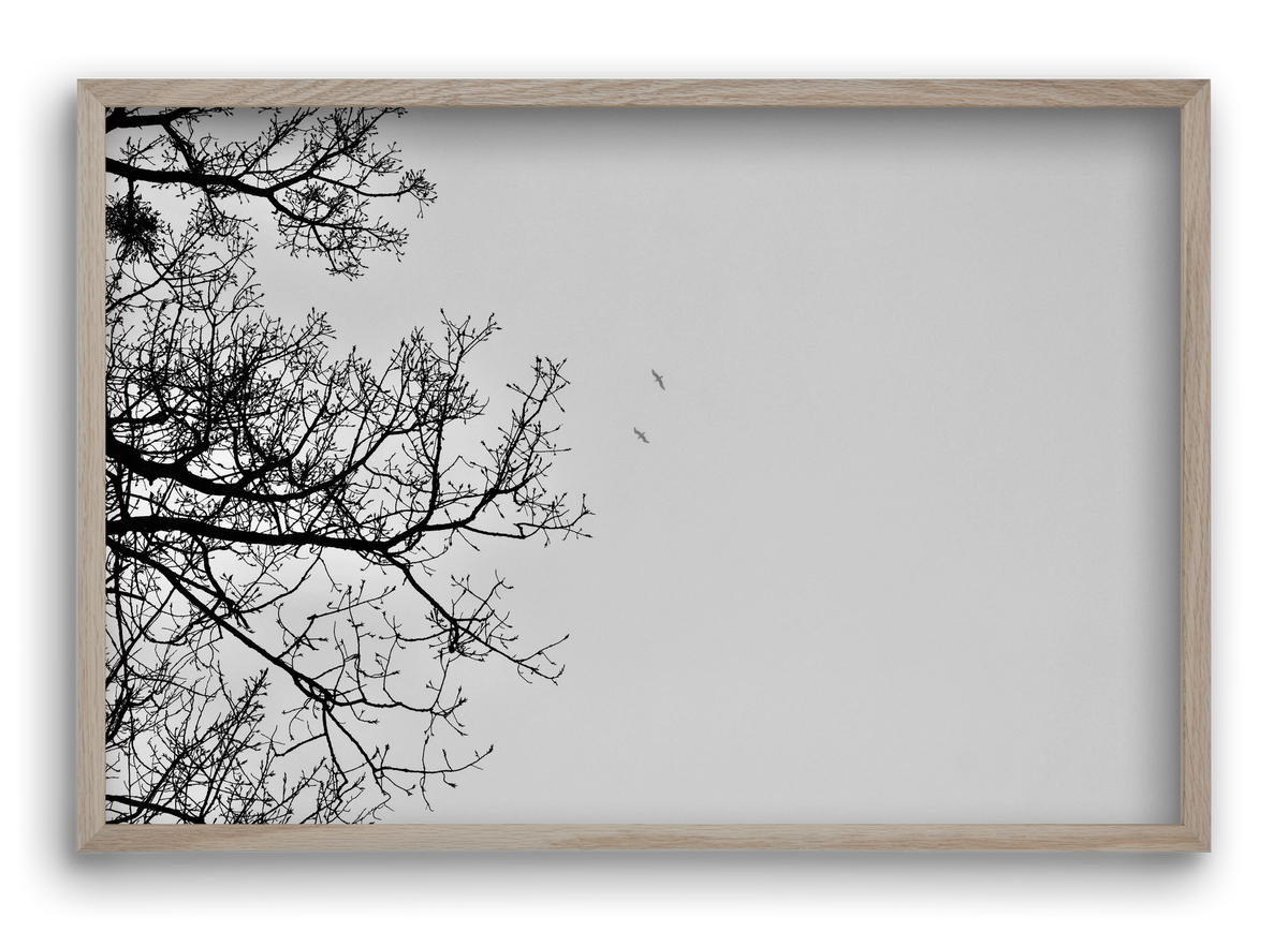 Living balance, 60x40 cm (60x40 cm), Tölgy keret