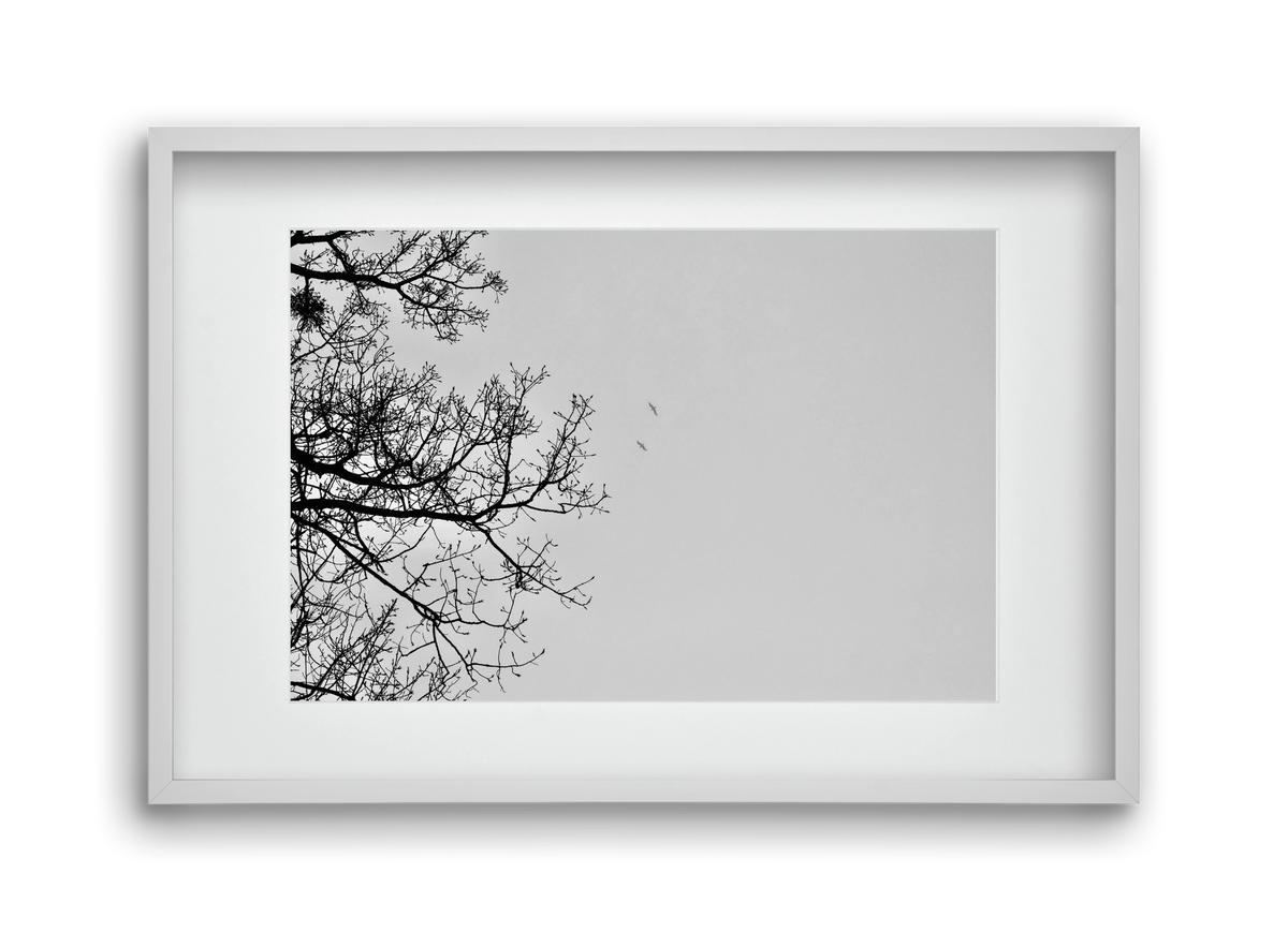 Living balance, 45x30 cm (30x20 cm), Fehér keret, paszpartuval