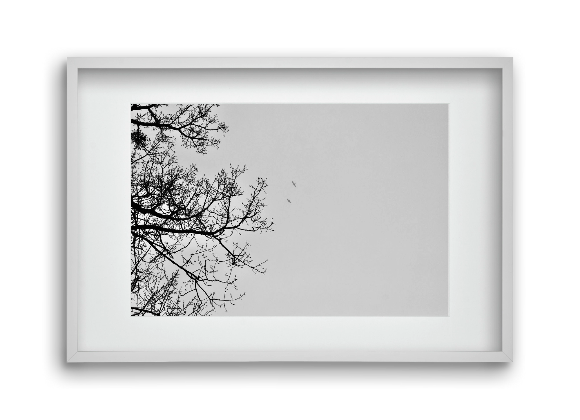 Living balance, 45x30 cm (30x20 cm), Fehér keret, paszpartuval