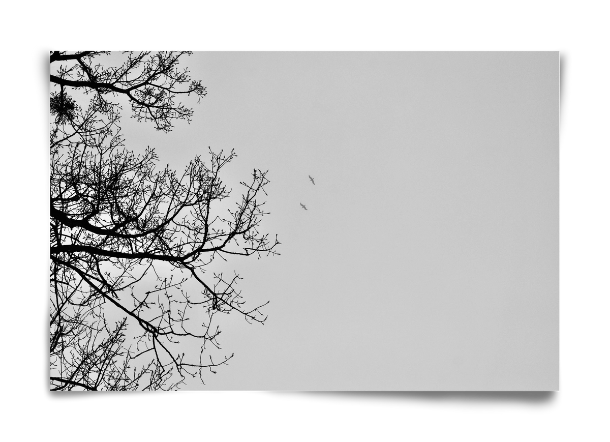 Living balance, 60x40 cm, Keret nélkül