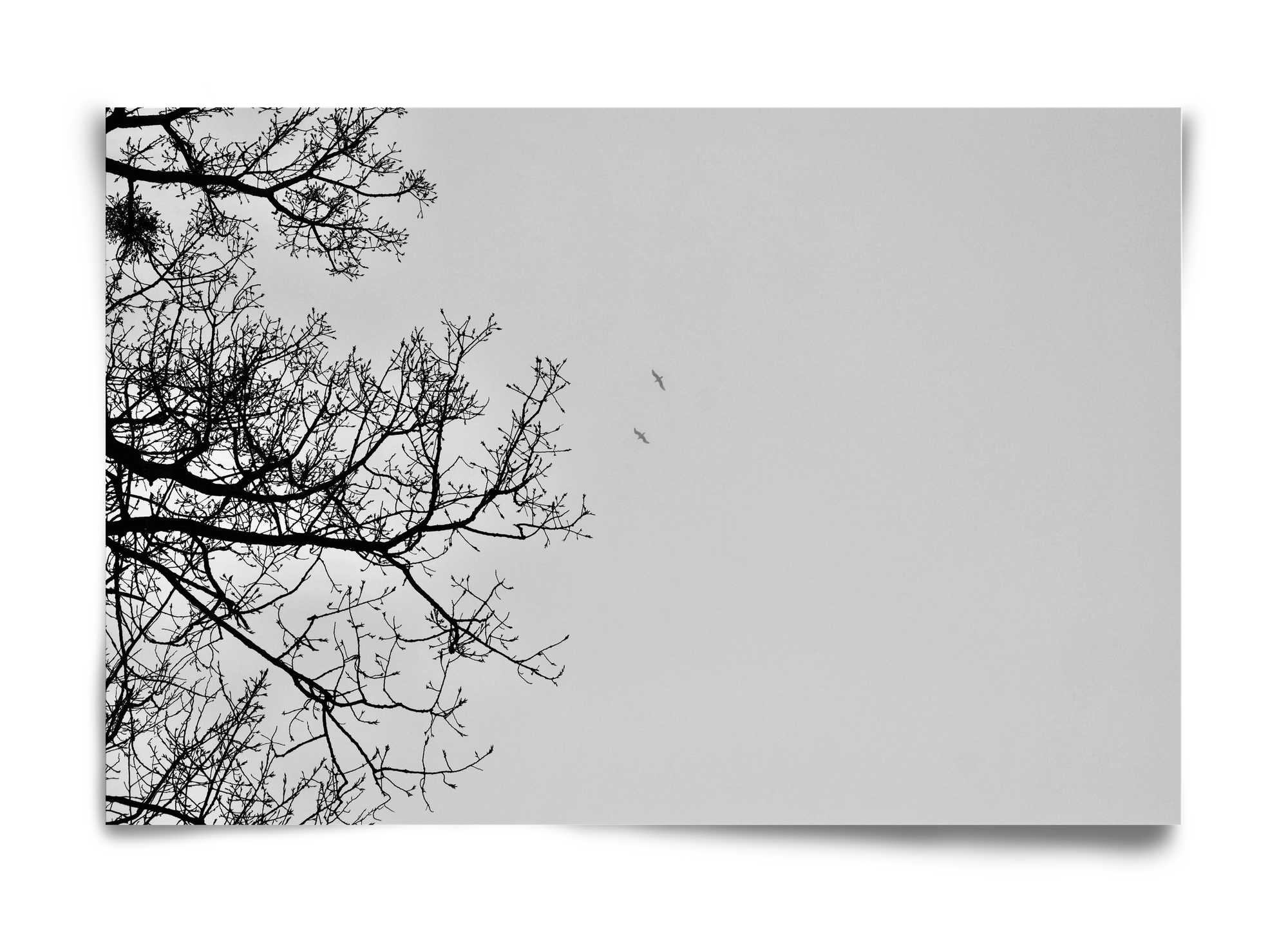 Living balance, 60x40 cm, Keret nélkül