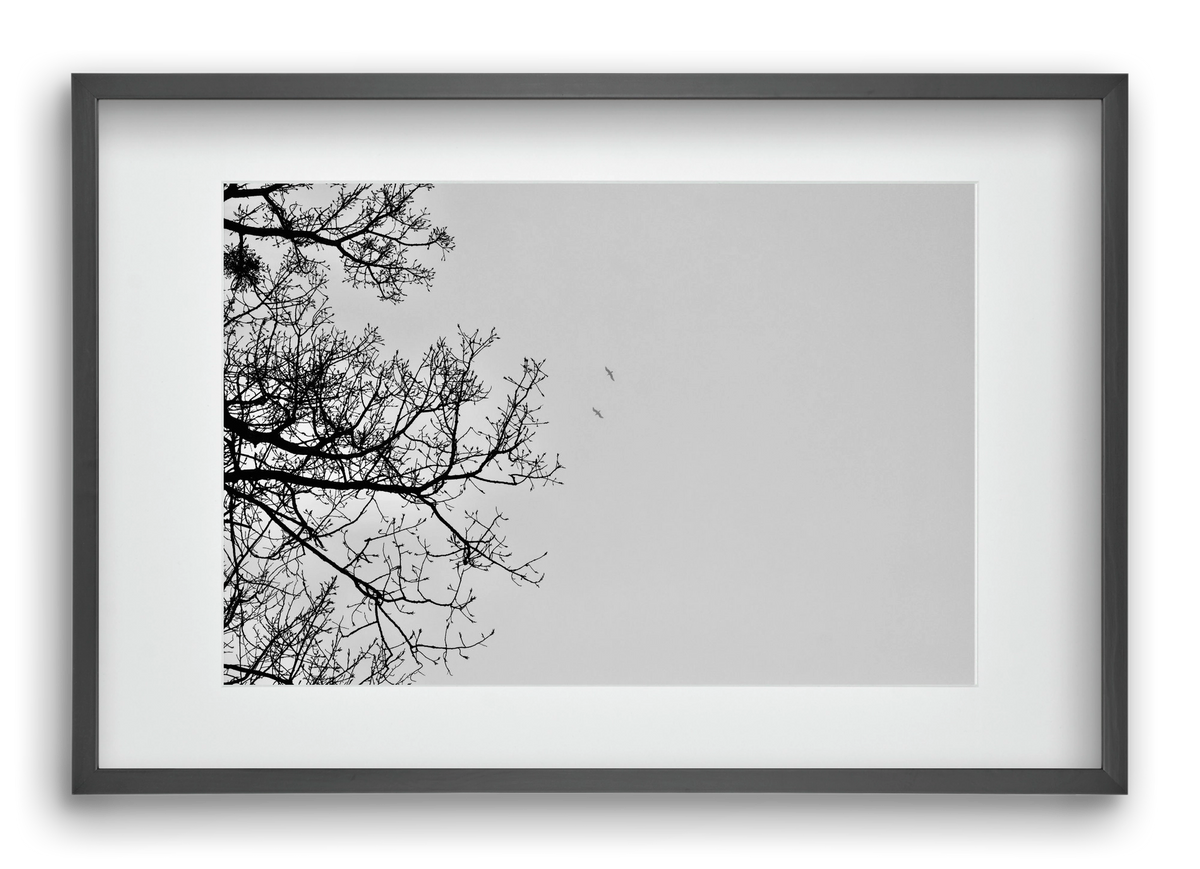 Living balance, 60x40 cm (45x30 cm), Fekete keret, paszpartuval